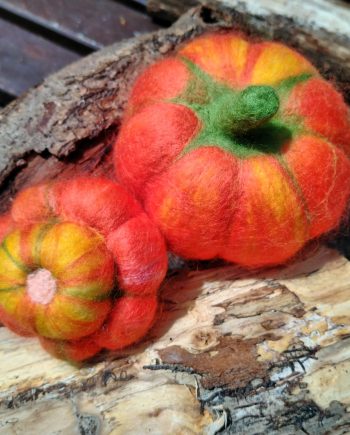 Set de calabazas nº2