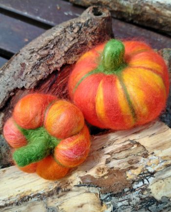 Set de calabazas nº 1