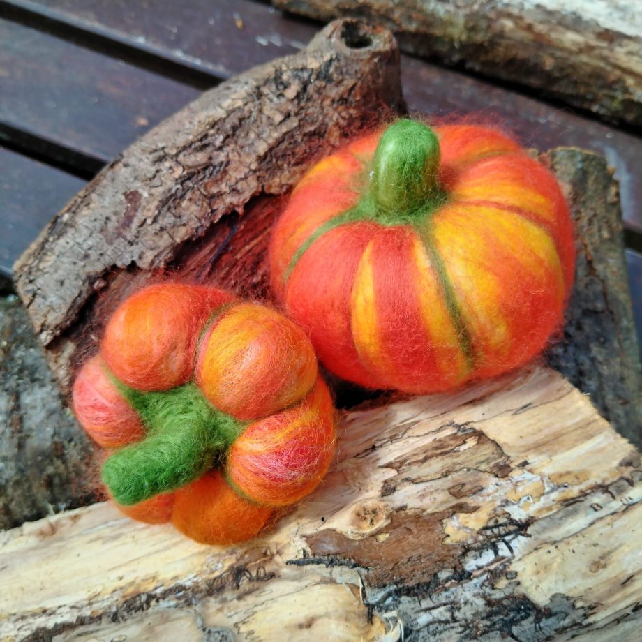 Set de calabazas nº 1