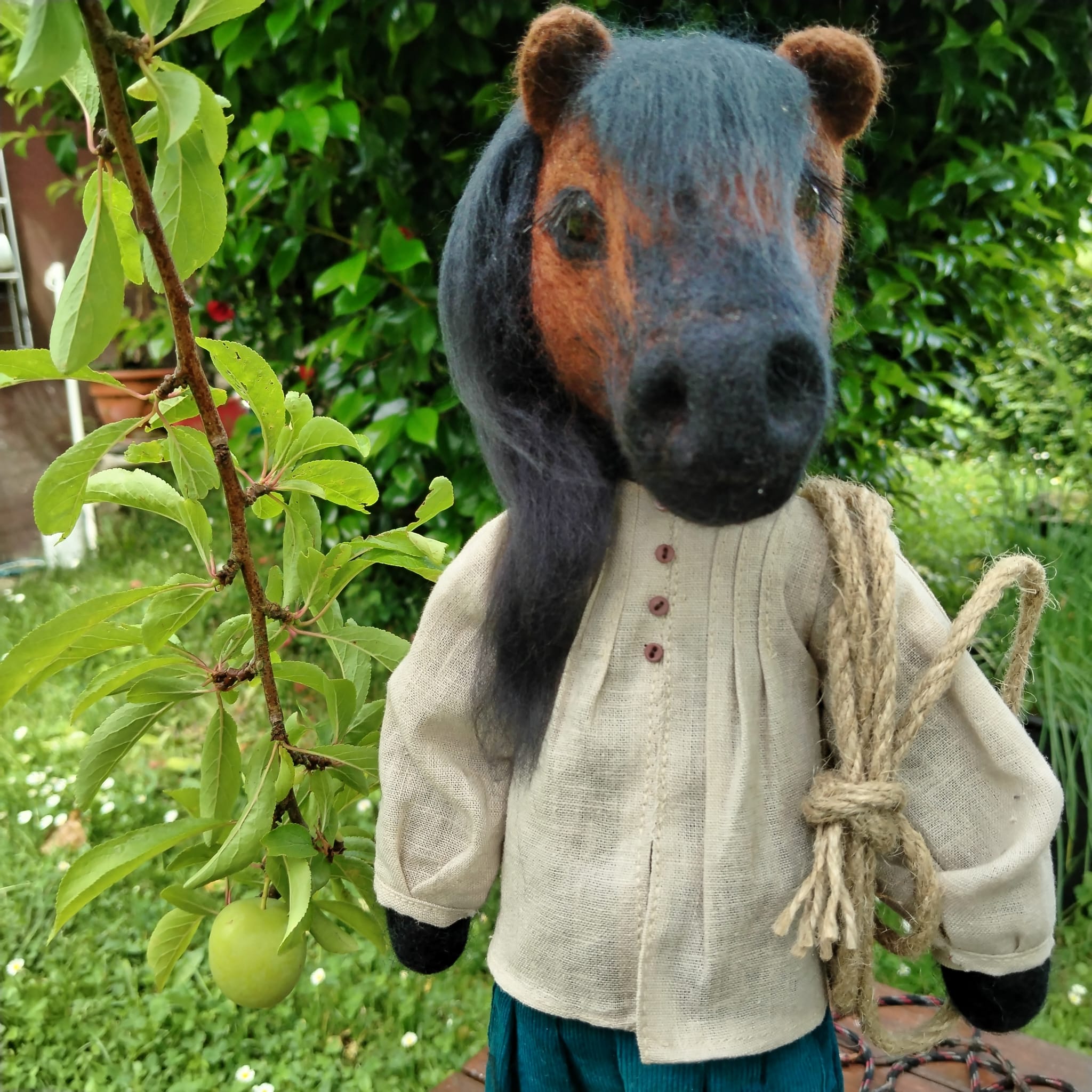 Pepe, el caballo gallego