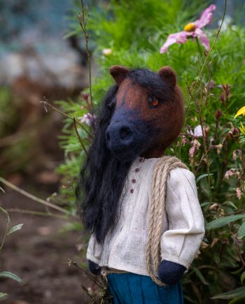 Pepe, el caballo gallego