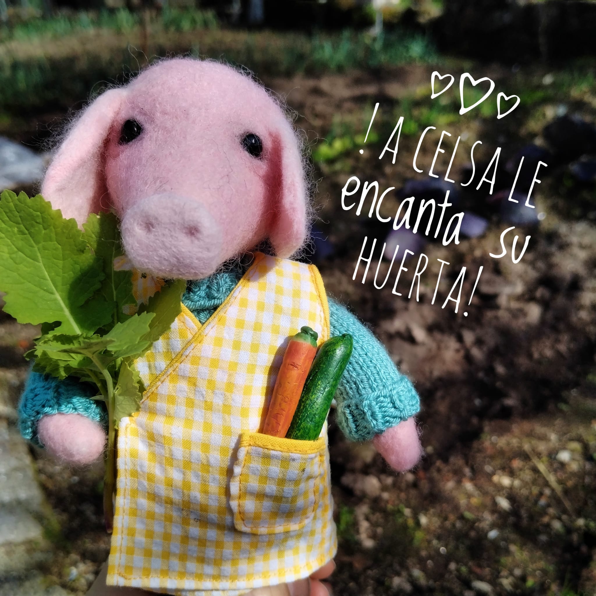 Set de porcos celtas