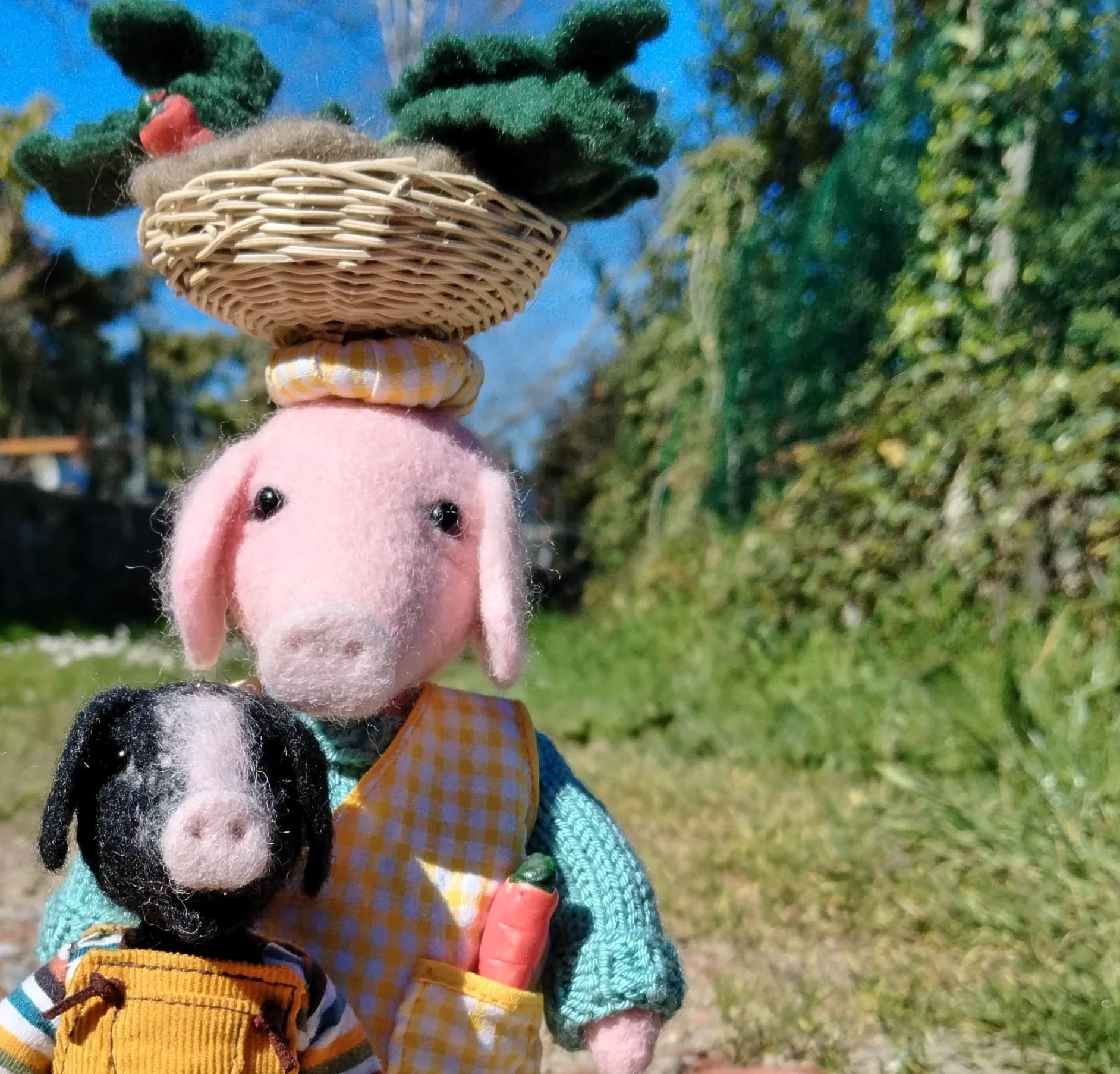 Set de porcos celtas