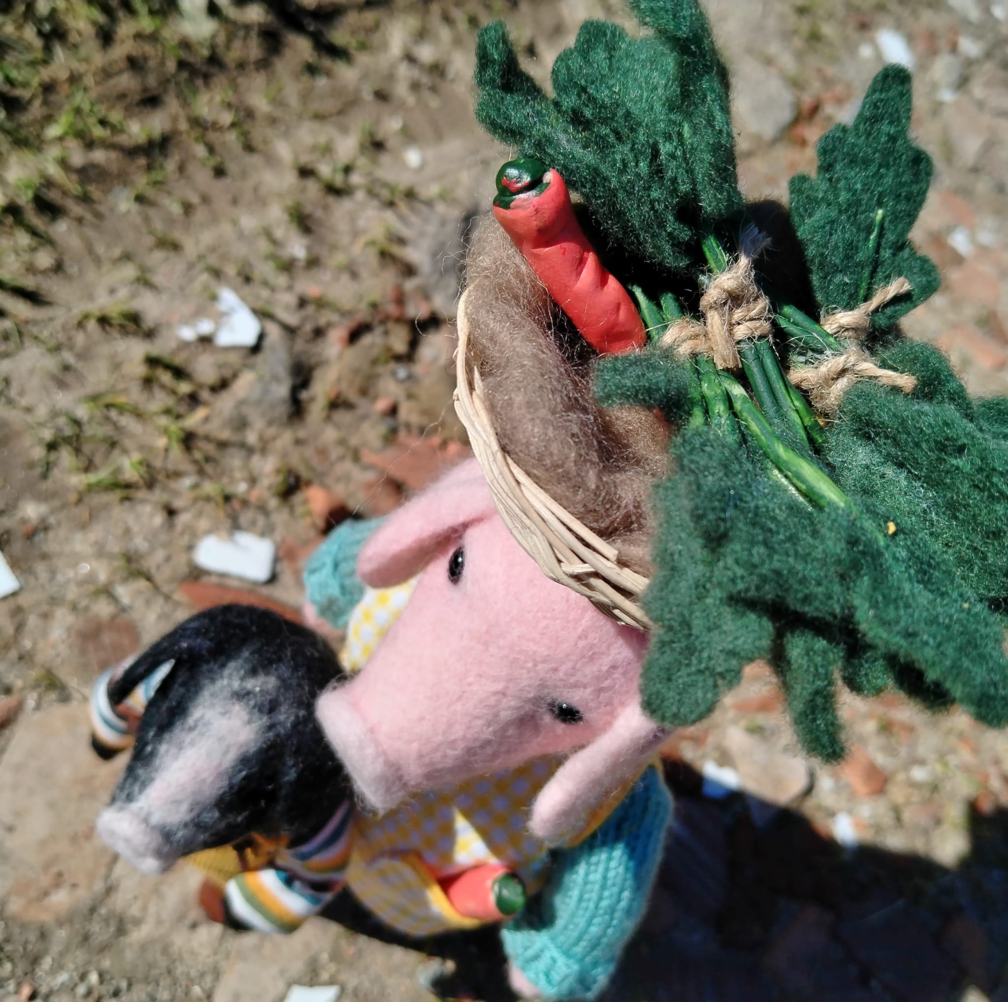 Set de porcos celtas