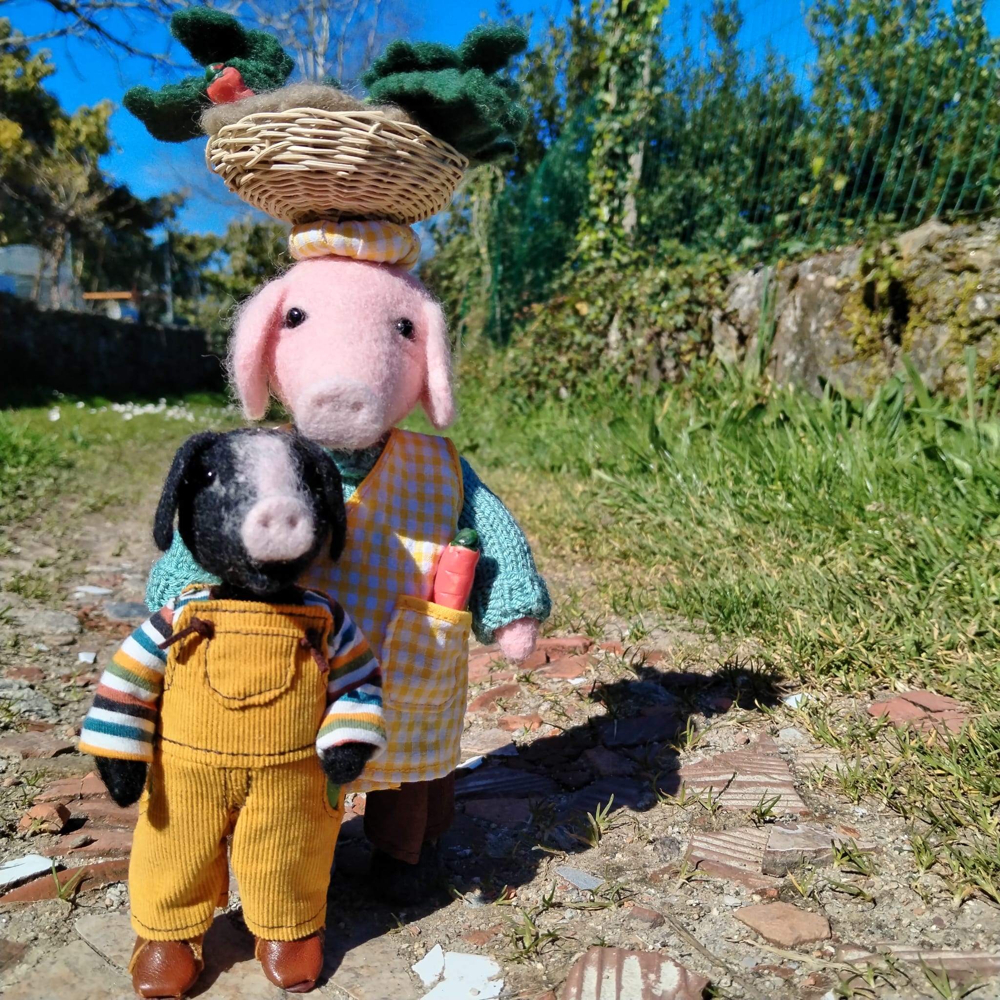 Set de porcos celtas